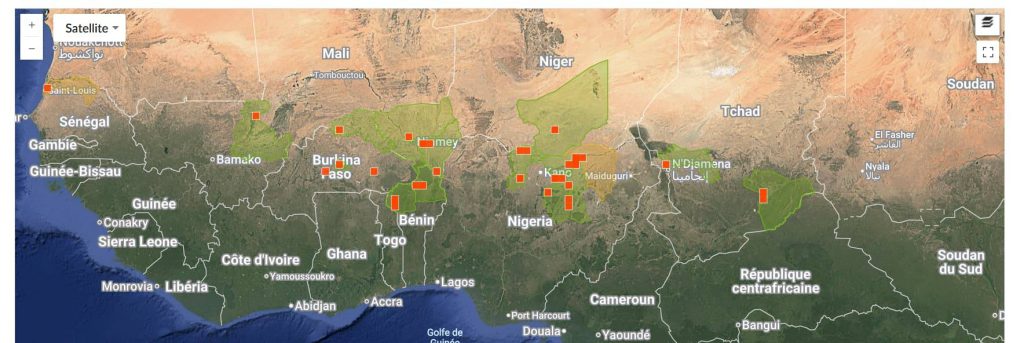 _Bauhinia rufescens_ : Une plante d’avenir pour l’Afrique sahélienne
