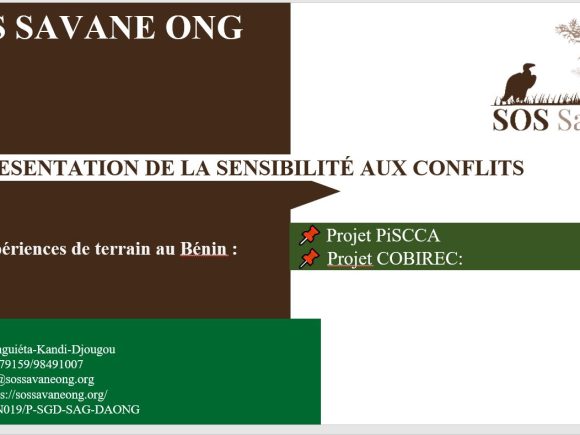 Sensibilité aux Conflits : SOS SAVANE-ONG partage son expérience au sein du CSC-Hub Bénin