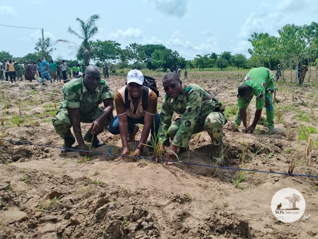 Journée Mondiale de Lutte Contre la Désertification et la Sécheresse 2026 : SOS Savane-ONG mobilisée pour des pâturages durables