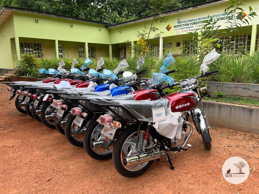 🦅 Protection des vautours au Nord-Bénin : SOS SAVANE-ONG renforce les moyens d’action des services forestiers