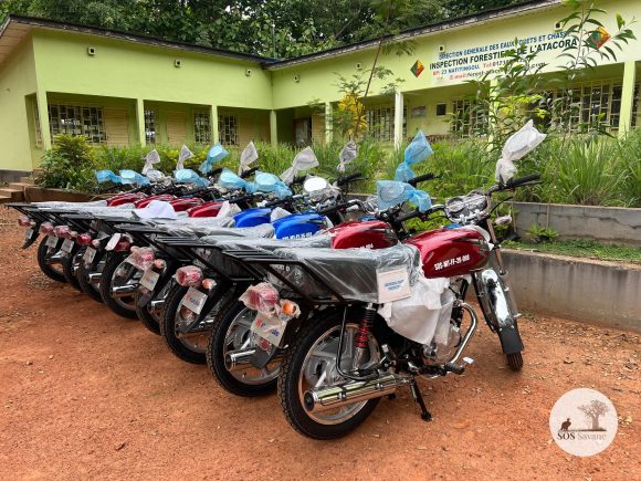 🦅 Protection des vautours au Nord-Bénin : SOS SAVANE-ONG renforce les moyens d’action des services forestiers